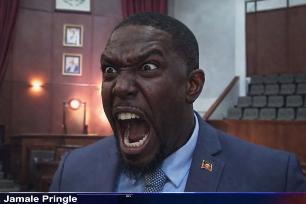 Jamale Pringle, Leader of the Opposition, United Progressive Party (UPP) — image referenced in public-interest court filings
